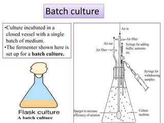 Batch culture
•Culture incubated in a                                           Air in
 closed vessel with a single
                                                                      Air filter
 batch of medium.                                       Air out      Syringe for adding
•The fermenter shown here is                     Air filter          buffer, nutrients
                                                                     etc.
 set up for a batch culture.


                                                                                   Syringe for
                                                                                   withdrawing
                                                                                   samples




                               Sparger to increase                             Culture
                               efficiency of aeration                          medium
 