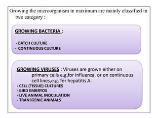 Growing the microorganism in maximum are mainly classified in
  two category :

  GROWING BACTERIA :

   - BATCH CULTURE
  - CONTINUOUS CULTURE



   GROWING VIRUSES : Viruses are grown either on
       primary cells e.g.for influenza, or on continuous
       cell lines,e.g. for hepatitis A.
   - CELL (TISSUE) CULTURES
   - BIRD EMBRYOS
   - LIVE ANIMAL INOCULATION
   - TRANSGENIC ANIMALS
 