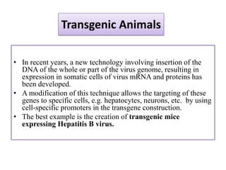 Transgenic Animals

• In recent years, a new technology involving insertion of the
  DNA of the whole or part of the virus genome, resulting in
  expression in somatic cells of virus mRNA and proteins has
  been developed.
• A modification of this technique allows the targeting of these
  genes to specific cells, e.g. hepatocytes, neurons, etc. by using
  cell-specific promoters in the transgene construction.
• The best example is the creation of transgenic mice
  expressing Hepatitis B virus.
 
