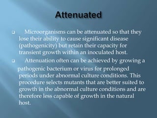       Microorganisms can be attenuated so that they
    lose their ability to cause significant disease
    (pathogenicity) but retain their capacity for
    transient growth within an inoculated host.
      Attenuation often can be achieved by growing a
    pathogenic bacterium or virus for prolonged
    periods under abnormal culture conditions. This
    procedure selects mutants that are better suited to
    growth in the abnormal culture conditions and are
    therefore less capable of growth in the natural
    host.
 