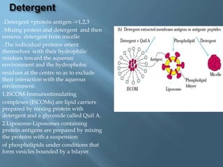 Detergent
oDetergent  +protein antigen ->1,2,3
oMixing protein and detergent and then
remove detergent from micelle
oThe individual proteins orient
themselves with their hydrophilic
residues toward the aqueous
environment and the hydrophobic
residues at the centre so as to exclude
their interaction with the aqueous
environment.
1.ISCOM-Immunostimulating
complexes (ISCOMs) are lipid carriers
prepared by mixing protein with
detergent and a glycoside called Quil A.
2.Liposome-Liposomes containing
protein antigens are prepared by mixing
the proteins with a suspension
of phospholipids under conditions that
form vesicles bounded by a bilayer.
 