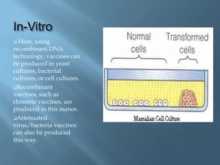 In-Vitro
 Here, using
recombinant DNA
technology, vaccines can
be produced in yeast
cultures, bacterial
cultures, or cell cultures.
Recombinant
vaccines, such as
chimeric vaccines, are
produced in this manor.
Attenuated
virus/bacteria vaccines
can also be produced
this way.
 