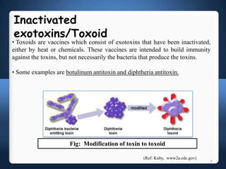 Toxoid Examples Vaccines | PPTX