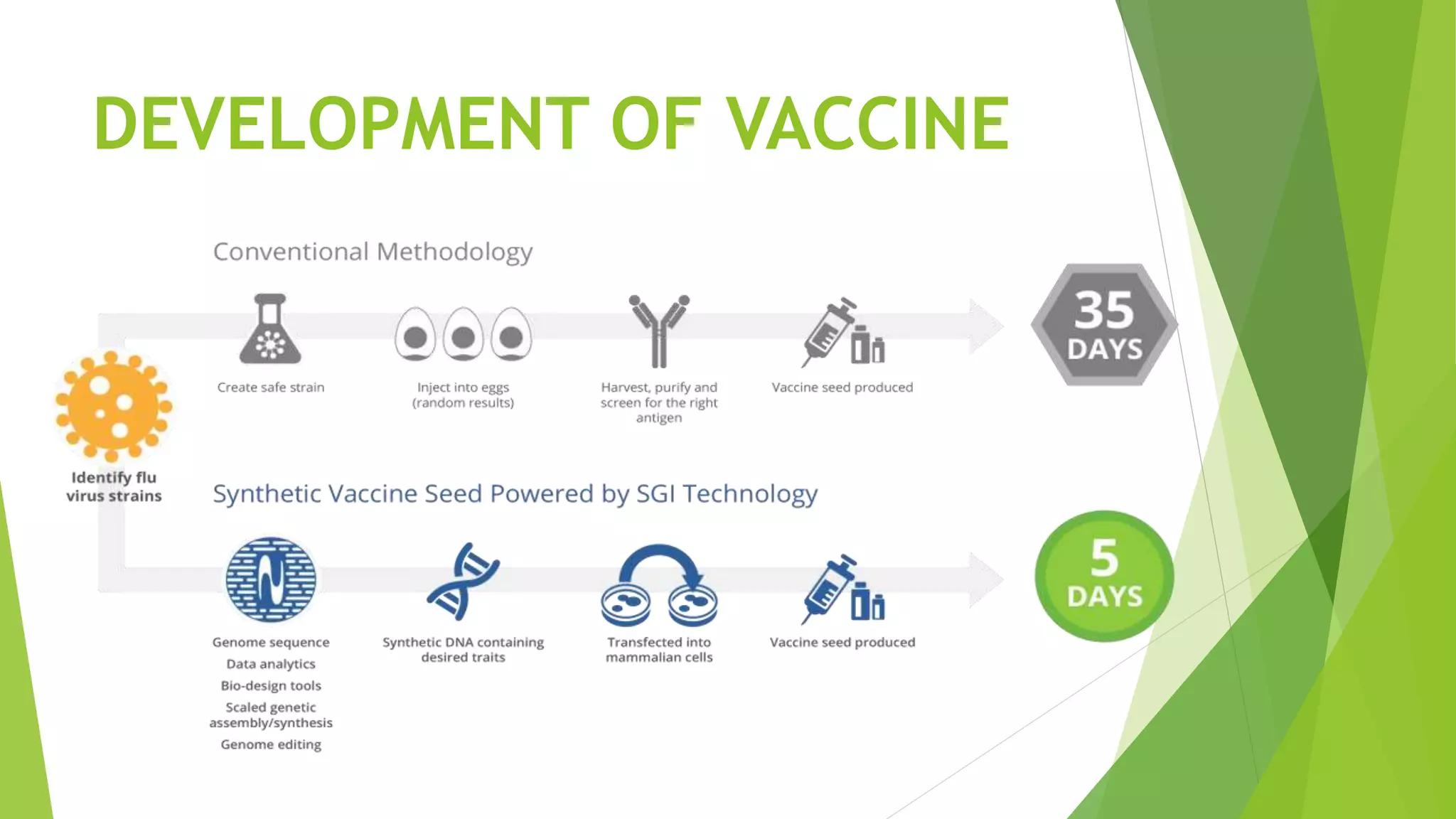 DEVELOPMENT OF VACCINE
 