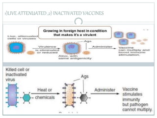 1)LIVE ATTENUATED ,2) INACTIVATED VACCINES
 