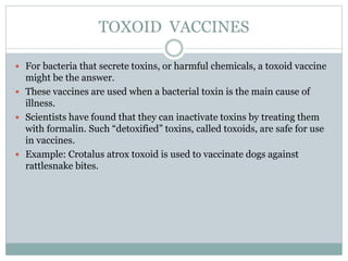 TOXOID VACCINES
 For bacteria that secrete toxins, or harmful chemicals, a toxoid vaccine
might be the answer.
 These vaccines are used when a bacterial toxin is the main cause of
illness.
 Scientists have found that they can inactivate toxins by treating them
with formalin. Such “detoxified” toxins, called toxoids, are safe for use
in vaccines.
 Example: Crotalus atrox toxoid is used to vaccinate dogs against
rattlesnake bites.
 