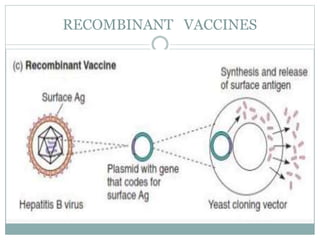 RECOMBINANT VACCINES
 