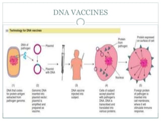 DNA VACCINES
 