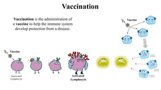 Vaccines | PDF