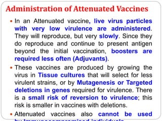 Administration of Attenuated Vaccines
 In an Attenuated vaccine, live virus particles
with very low virulence are administered.
They will reproduce, but very slowly. Since they
do reproduce and continue to present antigen
beyond the initial vaccination, boosters are
required less often (Adjuvants).
 These vaccines are produced by growing the
virus in Tissue cultures that will select for less
virulent strains, or by Mutagenesis or Targeted
deletions in genes required for virulence. There
is a small risk of reversion to virulence; this
risk is smaller in vaccines with deletions.
 Attenuated vaccines also cannot be used
 