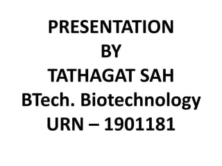 PRESENTATION
BY
TATHAGAT SAH
BTech. Biotechnology
URN – 1901181
 
