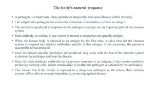 The body's natural response
• A pathogen is a bacterium, virus, parasite or fungus that can cause disease within the body.
• The subpart of a pathogen that causes the formation of antibodies is called an antigen.
• The antibodies produced in response to the pathogen’s antigen are an important part of the immune
system.
• Each antibody, or soldier, in our system is trained to recognize one specific antigen.
• When the human body is exposed to an antigen for the first time, it takes time for the immune
system to respond and produce antibodies specific to that antigen. In the meantime, the person is
susceptible to becoming ill.
• Once the antigen-specific antibodies are produced, they work with the rest of the immune system
to destroy the pathogen and stop the disease.
• Once the body produces antibodies in its primary response to an antigen, it also creates antibody-
producing memory cells, which remain alive even after the pathogen is defeated by the antibodies.
• This means that if the person is exposed to a dangerous pathogen in the future, their immune
system will be able to respond immediately, protecting against disease.
 