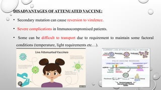 DISADVANTAGES OF ATTENUATED VACCINE:
• Secondary mutation can cause reversion to virulence.
• Severe complications in Immunocompromised patients.
• Some can be difficult to transport due to requirement to maintain some factoral
conditions (temperature, light requirements etc…).
 