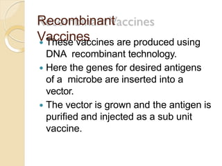 Recombinant
Vaccines These vaccines are produced using
DNA recombinant technology.
 Here the genes for desired antigens
of a microbe are inserted into a
vector.
 The vector is grown and the antigen is
purified and injected as a sub unit
vaccine.
 