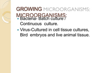 GROWING
MICROORGANISMS:
 Bacteria- Batch culture /
Continuous culture.
 Virus-Cultured in cell tissue cultures,
Bird embryos and live animal tissue.
 