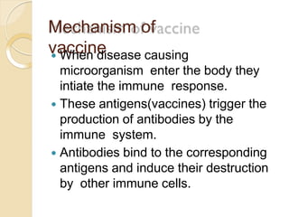 Mechanism of
vaccine When disease causing
microorganism enter the body they
intiate the immune response.
 These antigens(vaccines) trigger the
production of antibodies by the
immune system.
 Antibodies bind to the corresponding
antigens and induce their destruction
by other immune cells.
 