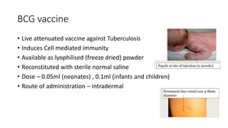 BCG vaccine
• Live attenuated vaccine against Tuberculosis
• Induces Cell mediated immunity
• Available as lyophilised (freeze dried) powder
• Reconstituted with sterile normal saline
• Dose – 0.05ml (neonates) , 0.1ml (infants and children)
• Route of administration – intradermal
 