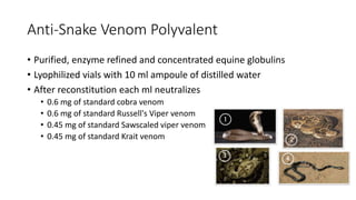Anti-Snake Venom Polyvalent
• Purified, enzyme refined and concentrated equine globulins
• Lyophilized vials with 10 ml ampoule of distilled water
• After reconstitution each ml neutralizes
• 0.6 mg of standard cobra venom
• 0.6 mg of standard Russell's Viper venom
• 0.45 mg of standard Sawscaled viper venom
• 0.45 mg of standard Krait venom
 