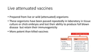 Live attenuated vaccines
• Prepared from live or wild (attenuated) organisms
• These organisms have been passed repeatedly in laboratory in tissue
culture or chick embryos and lost their ability to produce full blown
disease but retain their immunogenicity
• More potent than killed vaccines
 