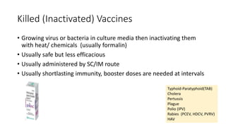 Killed (Inactivated) Vaccines
• Growing virus or bacteria in culture media then inactivating them
with heat/ chemicals (usually formalin)
• Usually safe but less efficacious
• Usually administered by SC/IM route
• Usually shortlasting immunity, booster doses are needed at intervals
Typhoid-Paratyphoid(TAB)
Cholera
Pertussis
Plague
Polio (IPV)
Rabies (PCEV, HDCV, PVRV)
HAV
 