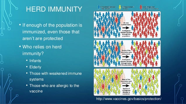 Vaccines and herd immunity