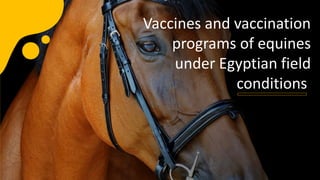 Vaccines and vaccination
programs of equines
under Egyptian field
conditions
 
