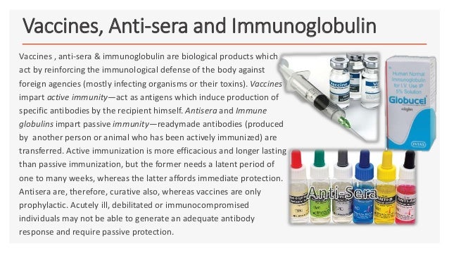 Vaccines Antisera And Immunoglobulin