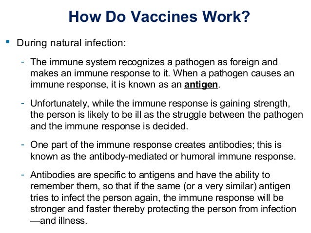 vaccines herd immunity anti vaccine movt vaccines herd immunity anti vaccine movt