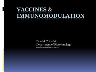 VACCINES &
IMMUNOMODULATION
Dr Alok Tripathi
Department of Biotechnology
aquaimmuno@yahoo.co.in
 