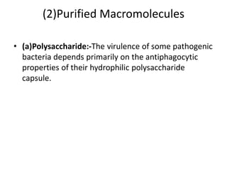 (2)Purified Macromolecules
• (a)Polysaccharide:-The virulence of some pathogenic
bacteria depends primarily on the antiphagocytic
properties of their hydrophilic polysaccharide
capsule.
 