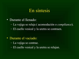 En síntesis
• Durante el llenado:
– La vejiga se relaja ( acomodación o compliance).
– El cuello vesical y la uretra se contraen.

• Durante el vaciado:
– La vejiga se contrae.
– El cuello vesical y la uretra se relajan.

 