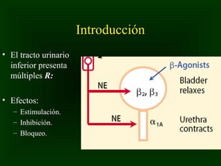 Introducción
• El tracto urinario
inferior presenta
múltiples R:
• Efectos:
– Estimulación.
– Inhibición.
– Bloqueo.

 