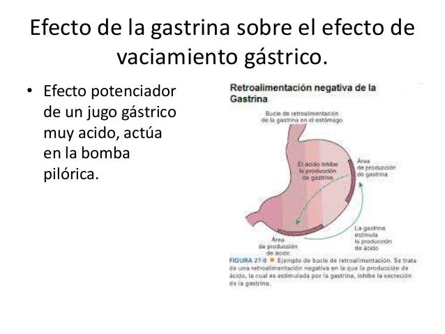 Vaciamiento gastrico