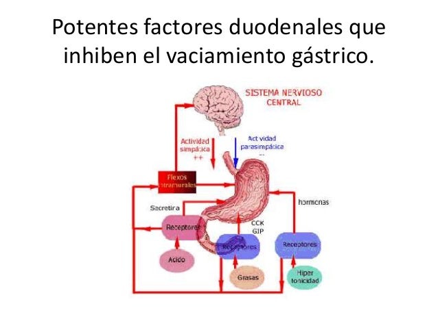 Vaciamiento gastrico
