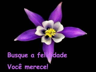 Busque a felicidade
Você merece!

 