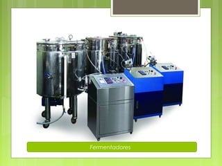 Fermentadores 
 