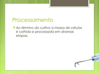 Processamento 
 Ao término do cultivo a massa de células 
é colhida e processada em diversas 
etapas. 
 