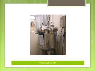 Processamento 
 