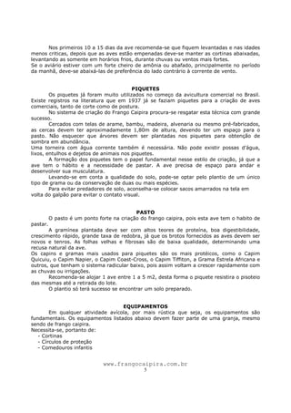 www.frangocaipira.com.br
5
Nos primeiros 10 a 15 dias da ave recomenda-se que fiquem levantadas e nas idades
menos criticas, depois que as aves estão empenadas deve-se manter as cortinas abaixadas,
levantando as somente em horários frios, durante chuvas ou ventos mais fortes.
Se o aviário estiver com um forte cheiro de amônia ou abafado, principalmente no período
da manhã, deve-se abaixá-las de preferência do lado contrário à corrente de vento.
PIQUETES
Os piquetes já foram muito utilizados no começo da avicultura comercial no Brasil.
Existe registros na literatura que em 1937 já se faziam piquetes para a criação de aves
comerciais, tanto de corte como de postura.
No sistema de criação do Frango Caipira procura-se resgatar esta técnica com grande
sucesso.
Cercados com telas de arame, bambu, madeira, alvenaria ou mesmo pré-fabricados,
as cercas devem ter aproximadamente 1,80m de altura, devendo ter um espaço para o
pasto. Não esquecer que árvores devem ser plantadas nos piquetes para obtenção de
sombra em abundância.
Uma torneira com água corrente também é necessária. Não pode existir possas d’água,
lixos, entulhos e dejetos de animais nos piquetes.
A formação dos piquetes tem o papel fundamental nesse estilo de criação, já que a
ave tem o hábito e a necessidade de pastar. A ave precisa de espaço para andar e
desenvolver sua musculatura.
Levando-se em conta a qualidade do solo, pode-se optar pelo plantio de um único
tipo de grama ou da conservação de duas ou mais espécies.
Para evitar predadores de solo, aconselha-se colocar sacos amarrados na tela em
volta do galpão para evitar o contato visual.
PASTO
O pasto é um ponto forte na criação do frango caipira, pois esta ave tem o habito de
pastar.
A gramínea plantada deve ser com altos teores de proteína, boa digestibilidade,
crescimento rápido, grande taxa de redobra, já que os brotos fornecidos as aves devem ser
novos e tenros. As folhas velhas e fibrosas são de baixa qualidade, determinando uma
recusa natural da ave.
Os capins e gramas mais usados para piquetes são os mais protéicos, como o Capim
Quicuiu, o Capim Napier, o Capim Coast-Cross, o Capim Tiffiton, a Grama Estrela Africana e
outros, que tenham o sistema radicular baixo, pois assim voltam a crescer rapidamente com
as chuvas ou irrigações.
Recomenda-se alojar 1 ave entre 1 a 5 m2, desta forma o piquete resistira o pisoteio
das mesmas até a retirada do lote.
O plantio só terá sucesso se encontrar um solo preparado.
EQUIPAMENTOS
Em qualquer atividade avícola, por mais rústica que seja, os equipamentos são
fundamentais. Os equipamentos listados abaixo devem fazer parte de uma granja, mesmo
sendo de frango caipira.
Necessita-se, portanto de:
- Cortinas
- Círculos de proteção
- Comedouros infantis
 