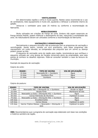 www.frangocaipira.com.br
9
VENTILADORES
Em determinadas regiões o clima é muito quente. Nestes casos recomenda-se o uso
de ventiladores. Este equipamento é muito útil, ajudando a refrescar o ambiente interno do
galpão.
Utiliza-se 1 ventilador para cada 25 metros ou conforme a recomendação do
fabricante.
NEBULIZADORES
Muito utilizados em criações de frango de corte. Embora não sejam essenciais ao
frango Paraíso Pedrês, podem melhorar o desempenho do lote, reduzindo a mortalidade das
aves. Os nebulizadores devem ser utilizados conforme a recomendação do fabricante.
VACINAÇÃO E VERMIFUGAÇÃO
Normalmente o pequeno avicultor não se preocupa com os programas de vacinação e
vermifugação. Sendo assim, comete um erro gravíssimo, pois estes programas não
representam um custo elevado, se comparados aos prejuízos que um verme ou doença
podem causar ao lote.
O esquema de vacinação varia de região para região, recomenda-se que verifique o
esquema utilizado por uma granja de frangos comerciais perto da propriedade, pois esta
granja já conhece os desafios regionais. Pode-se consultar também a casa da lavoura do
município.
Exemplo de esquema de vacinação:
Caipira de corte:
IDADE TIPO DE VACINA VIA DE APLICAÇÃO
10 dias Newcastle B1 + Gumboro Água
14 dias Gumboro Plus Água
21 dias Gumboro Água
Caipira de postura:
IDADE TIPO DE VACINA VIA DE APLICAÇÃO
7 dias Newcastle HB1 + Bronquite 52 + Gumboro Ocular ou água
25 dias Bouba Forte Membrana da asa
35 dias Newcastle La Sota + Bronquite H52 + Gumboro Água
50 dias Coriza Hidróxido de Alumínio Injetável na coxa
70 dias Newcastle La Sota + Bronquite H52 + Gumboro Água
100 dias Encefalomielite Água
120 dias Coriza Oleosa Injetável no peito
135 dias Vacina Tríplice Oleosa + Newcastle + Bronquite +
EDS
Injetável no peito
OBS: Recomendamos que o programa de vacinação seja elaborado com base nas condições
e histórico sanitário da região.
 