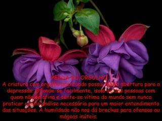 PERDA DO ORGULHO   A criatura com orgulho acentuado possui muita abertura para a depressão. Ofende-se facilmente, isola-se das pessoas com quem não se afina e sente-se vítima do mundo sem nunca praticar a auto análise necessária para um maior entendimento das situações. A humildade não nos dá brechas para ofensas ou mágoas inúteis.      