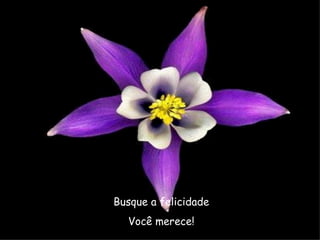 Busque a felicidade
  Você merece!
 