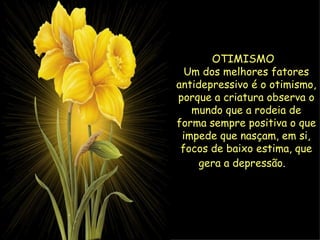 OTIMISMO  
  Um dos melhores fatores
antidepressivo é o otimismo,
porque a criatura observa o
   mundo que a rodeia de
forma sempre positiva o que
 impede que nasçam, em si,
 focos de baixo estima, que
     gera a depressão. 
              
 