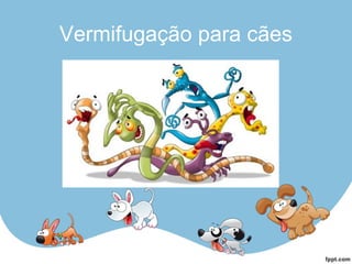 Vermifugação para cães
 