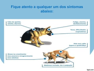 Fique atento a qualquer um dos sintomas
abaixo:
 