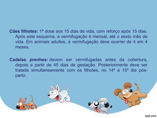 Cães filhotes: 1ª dose aos 15 dias de vida, com reforço após 15 dias.
Após este esquema, a vermifugação é mensal, até o sexto mês de
vida. Em animais adultos, a vermifugação deve ocorrer de 4 em 4
meses.
Cadelas prenhes: devem ser vermifugadas antes da cobertura,
depois a partir de 45 dias de gestação. Posteriormente deve ser
tratada simultaneamente com os filhotes, no 14º a 15º dia pós-
parto.
 