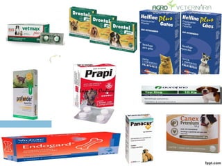 Protocolos de Vacinação e Vermifugação em Cães e Gatos