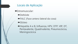 Locais de Aplicação
Intramuscular:
Deltóide
FALC (Face antero lateral da coxa)
Glúteo
Hepatite A e B, Influenza, HPV, DTP, VIP, DT,
Pentavalente, Quadrivalente, Pneumocócica,
Meningocócica
 