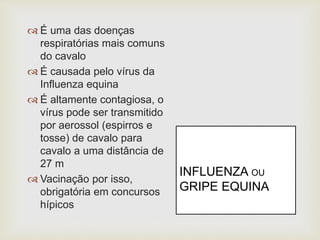  É uma das doenças
respiratórias mais comuns
do cavalo
 É causada pelo vírus da
Influenza equina
 É altamente contagiosa, o
vírus pode ser transmitido
por aerossol (espirros e
tosse) de cavalo para
cavalo a uma distância de
27 m
 Vacinação por isso,
obrigatória em concursos
hípicos
INFLUENZA OU
GRIPE EQUINA
 