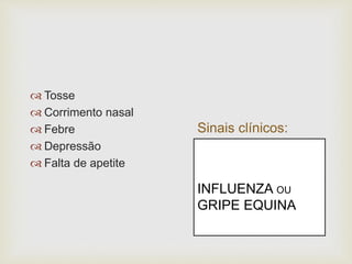 Sinais clínicos:
 Tosse
 Corrimento nasal
 Febre
 Depressão
 Falta de apetite
INFLUENZA OU
GRIPE EQUINA
 